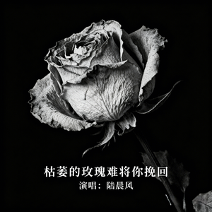 枯萎的玫瑰难将你挽回