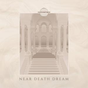 Near Death Dream