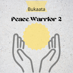 Peace Warrior 2