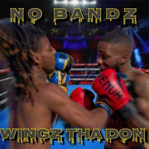 No BandZ