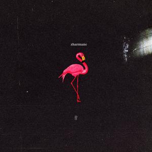 Flamingos