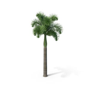 落叶静悬秋忆里