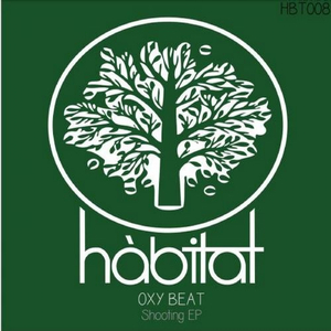 Secret Vibes (Original Mix)