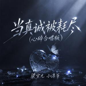 当真诚被耗尽(心碎合唱版)