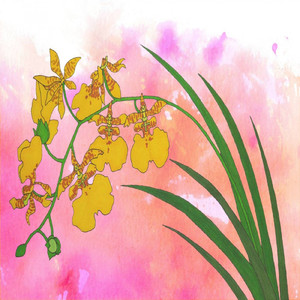 オンシジューム