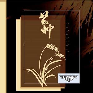 音阙诗听-芒种 (JIANG.x Bootleg)（JIANG.x remix）