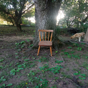 Catando Coquinhos no Satélite