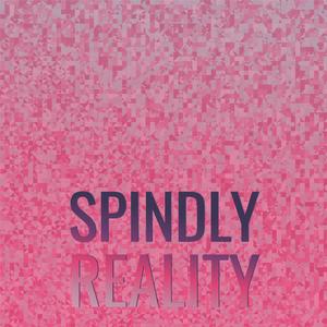 Spindly Reality
