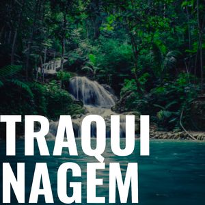 Traquinagem