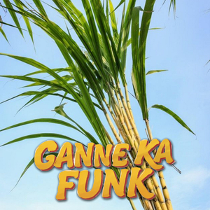 Ganne Ka Funk