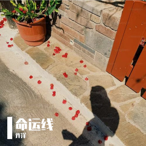 命运线prod.白昼星BZX