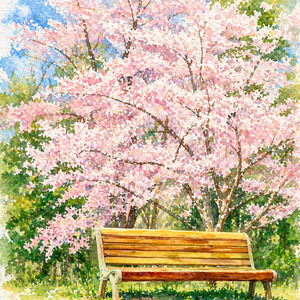 Cerejeira em Flor
