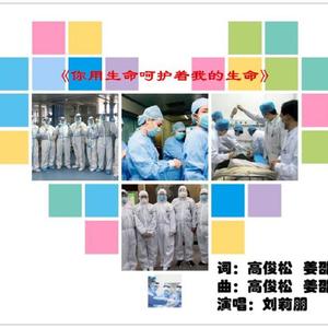 你用生命呵护着我的生命