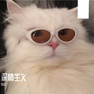 深情主义（Prod. MoDi_dx1）