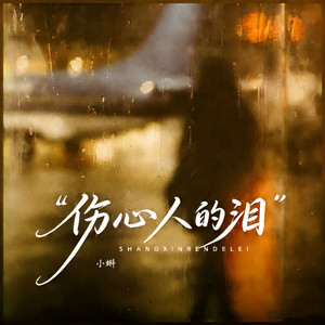 伤心人的泪（男童版）