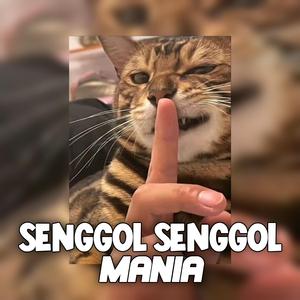 Senggol senggol mania (Selowed + Reverb)