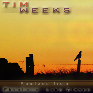 C'mon Sugar (Ekkohaus Remix)