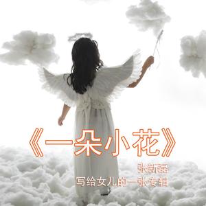 你是我的小星星