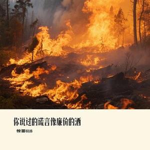 你说过的谎言像廉价的酒