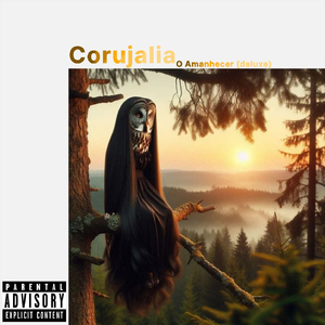 Corujas Me Veem
