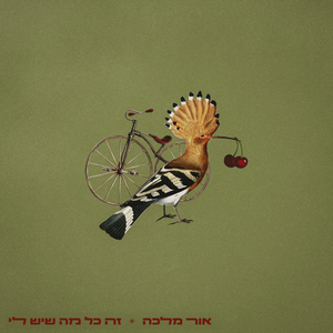 זה כל מה שיש לי