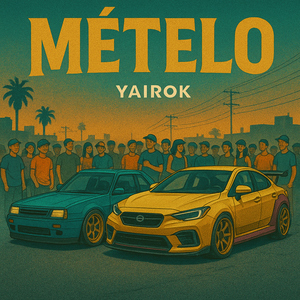 Metelo