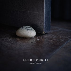 Lloro Por Ti