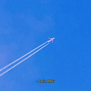 Latin Affair (feat. Ashesndreams)