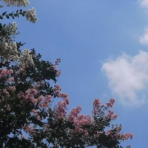 向光奔跑，不再回头