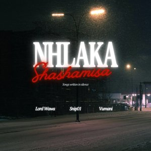 Shashamisa