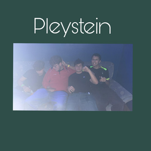 Pleystein