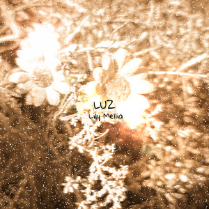 Luz