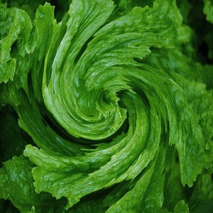 Irrogate
