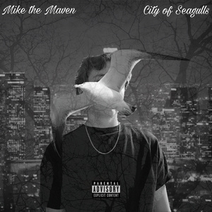 City of Seagulls