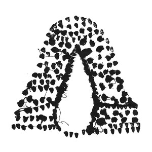 Peste (o sonho de buda)