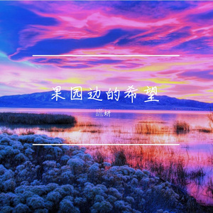 麦田边的光芒