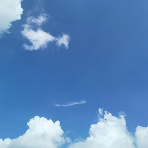 难收的覆水