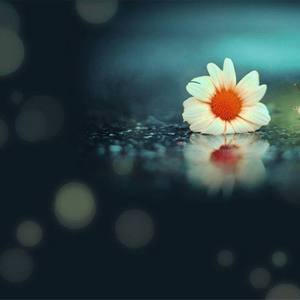 A yuan's song platform