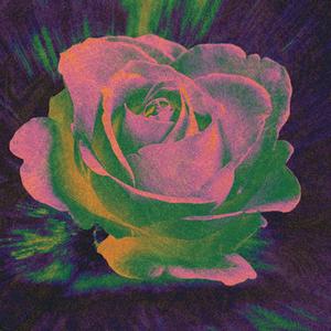 BLOOM (feat. Arhipelags)