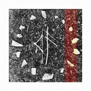 Paimon (What You Omen)