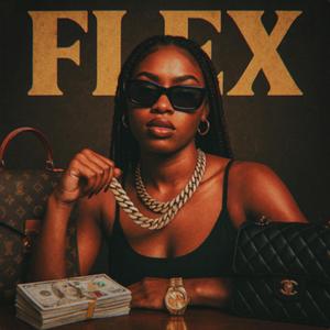 FLEX (feat. SUBHEAD)