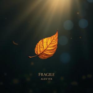 Fragile