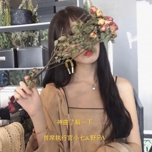 桥边姑娘 (火花版)