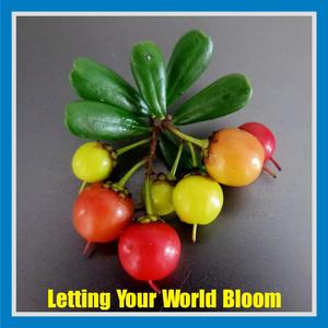 Letting Your World Bloom