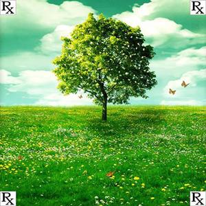 Who Da Illest (feat. Smokeakakennetic & Beez)