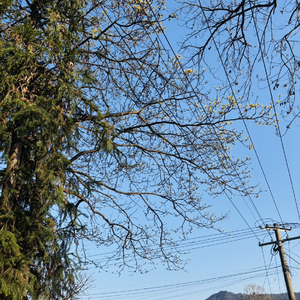 三十岁，你遗憾吗