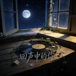 回声里的你