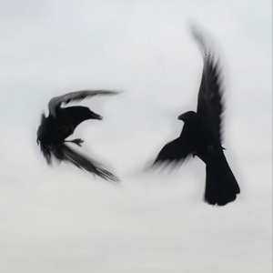 Seni Ne Kadar Sevdim 2