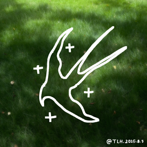 In Her City (在她的城中)