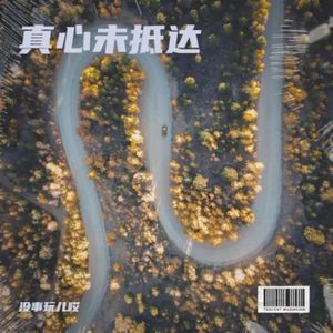 真心未抵达